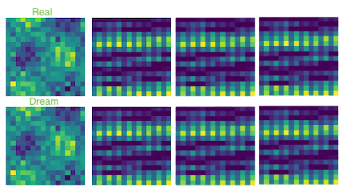 Physical AI - World Models visualization