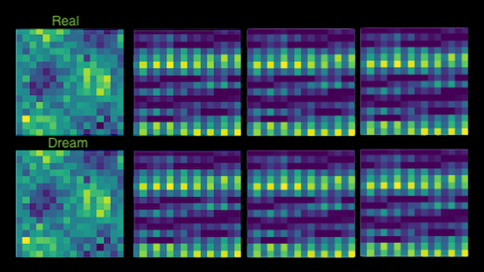 Physical AI - World Models visualization